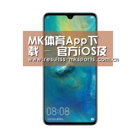 华为无线快充手机