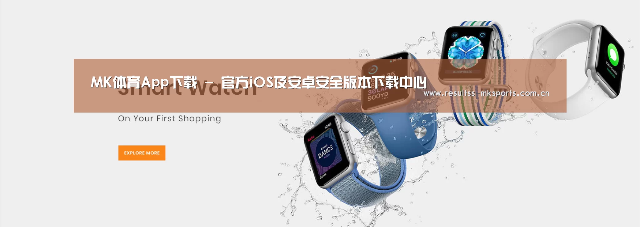 某某网络科技有限公司