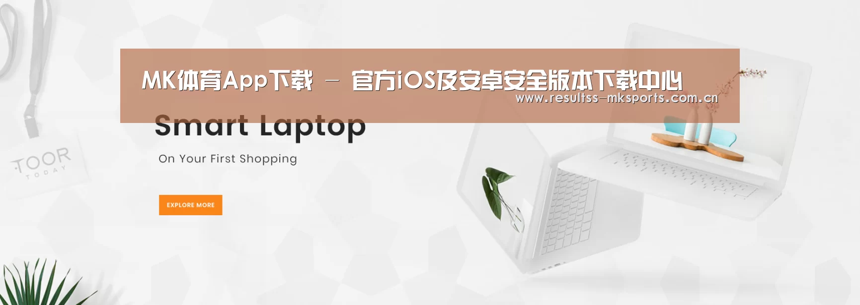 某某网络科技有限公司