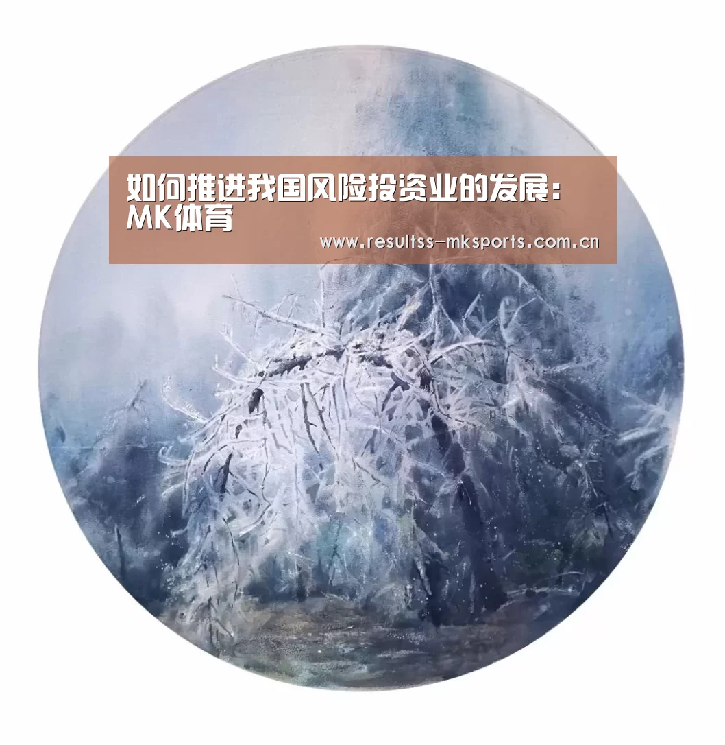 如何推进我国风险投资业的发展:MK体育(图1) MK体育
