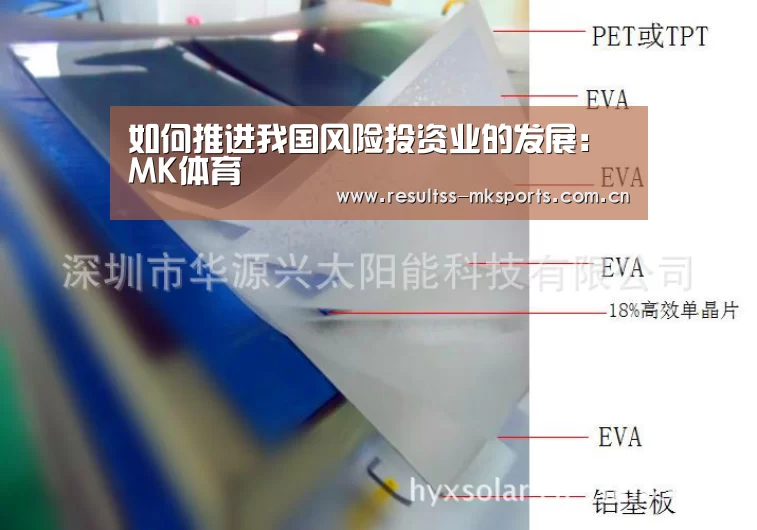 如何推进我国风险投资业的发展:MK体育(图2) MK体育下载